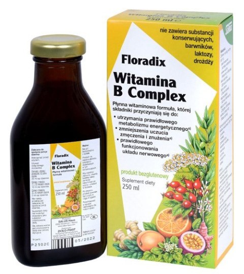 SUPLEMENT DIETY WITAMINA B COMPLEX W PŁYNIE BEZGLUTENOWA 250 ml - SALUS (FLORADIX) SUPLEMENT DIETY WITAMINA B COMPLEX W PŁYNIE BEZGLUTENOWA 250 ml - SALUS (FLORADIX)